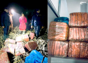 पर्सा प्रहरीद्वारा ठोरीबाट डेढ क्वीन्टल बढि गाँजा बरामद