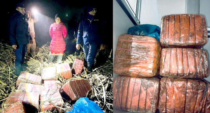पर्सा प्रहरीद्वारा ठोरीबाट डेढ क्वीन्टल बढि गाँजा बरामद