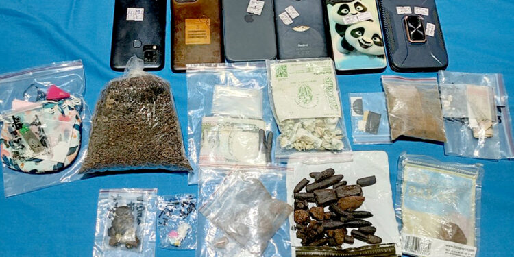 पोखराको जंगलमा ‘ड्रग्स पार्टी’: मध्यरातमा प्रहरीको छापा, विदेशीसहित ३८ जना युवायुवती पक्राउ