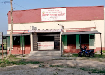 कलैया यातायात कार्यालयमा अराजकता : सेवाग्राही थुन्नेदेखि ‘लाइसेन्स किनबेच’ को आरोप