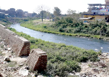 तीन दशकदेखि प्रदूषणको शिकार ‘सिर्सिया नदी’: कहिले होला प्रदूषणमुक्त ? रोकिएन उद्योगको अटेरी