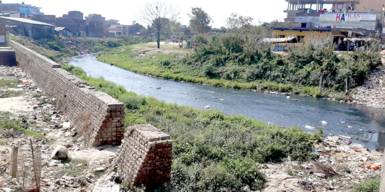तीन दशकदेखि प्रदूषणको शिकार ‘सिर्सिया नदी’: कहिले होला प्रदूषणमुक्त ? रोकिएन उद्योगको अटेरी