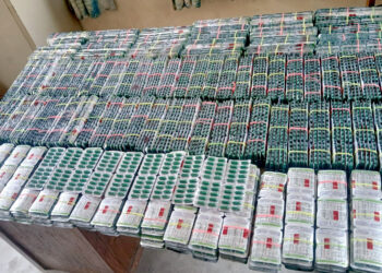 ३० हजार ट्रामाडोलसहित भारतीय नागरिक पक्राउ