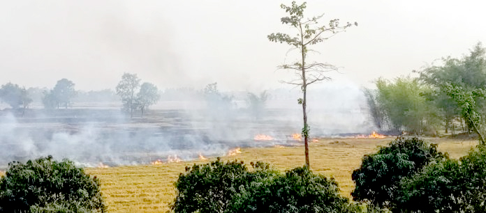 खेतमै आगो, बस्ती खतरा : किसानको अभ्यासले बढायो आगलागी जोखिम
