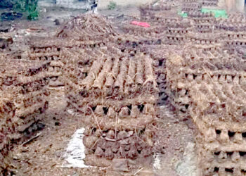 रौतहटको ग्रामीण क्षेत्रमा वैकल्पिक ऊर्जा गुइँठाको प्रयोग गरिँदै