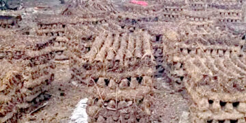 रौतहटको ग्रामीण क्षेत्रमा वैकल्पिक ऊर्जा गुइँठाको प्रयोग गरिँदै