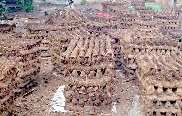 रौतहटको ग्रामीण क्षेत्रमा वैकल्पिक ऊर्जा गुइँठाको प्रयोग गरिँदै
