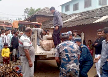अवैध साल काठसहित ट्याक्टर बरामद, एकजना पक्राउ
