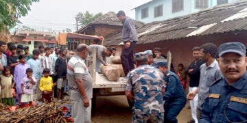 अवैध साल काठसहित ट्याक्टर बरामद, एकजना पक्राउ