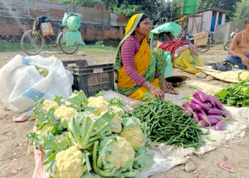 खुला नाकाबाट सोझै वीरगंज भित्रिन्छ भारतीय तरकारी