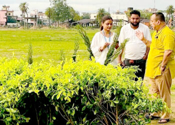 बीपी उद्यान रूपान्तरण अभियान तीव्रः वीरगंजमा आधुनिक हरियाली पार्क निर्माण हुँदै