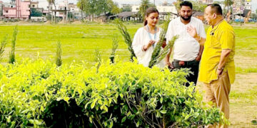 बीपी उद्यान रूपान्तरण अभियान तीव्रः वीरगंजमा आधुनिक हरियाली पार्क निर्माण हुँदै