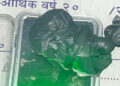 लागूऔषध खैरो हिरोइनसहित दुई युवक पक्राउ