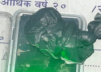 लागूऔषध खैरो हिरोइनसहित दुई युवक पक्राउ