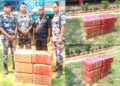 सशस्त्र प्रहरीद्वारा ठूलो परिमाणमा लागुऔषध गाँजा बरामद