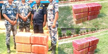 सशस्त्र प्रहरीद्वारा ठूलो परिमाणमा लागुऔषध गाँजा बरामद
