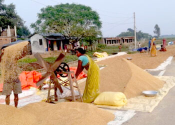 धानको समर्थन मूल्य निर्धारण