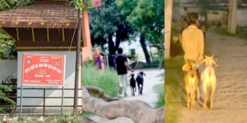 इनर्वा नाकाबाट खसी-बोका तस्करी भइरहेको आरोप