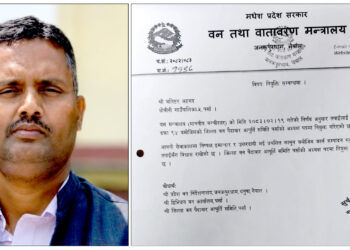 जिल्ला वन पैदावार समितिको अध्यक्ष बलिष्टर अहमद नियुक्त