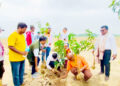 सार्वजनिक जग्गाको संरक्षणका निम्ति वृक्षारोपण