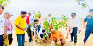 सार्वजनिक जग्गाको संरक्षणका निम्ति वृक्षारोपण