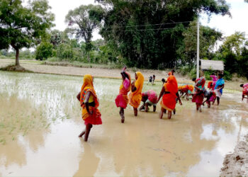 राष्ट्रिय धान दिवसमै पर्सा-बाराका किसान निराश, बेर्ना तयार नहुँदा रोपाइँ ठप्प