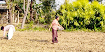 रोहिणी नक्षत्रसँगै पर्सामा धान खेतीको चटारो, किसान अझै भारतीय बीउमै निर्भर
