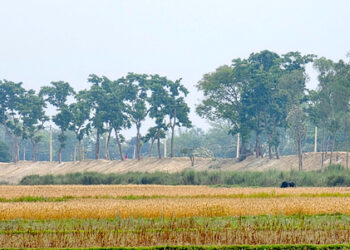 भारतीय पक्षले एकतर्फी रूपमा सीमा क्षेत्रको बाँध अग्लो बनाउँदा, रौतहटको गौर डुबानको जोखिममा