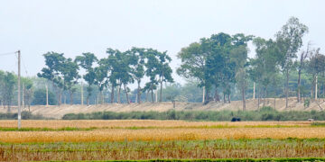 भारतीय पक्षले एकतर्फी रूपमा सीमा क्षेत्रको बाँध अग्लो बनाउँदा, रौतहटको गौर डुबानको जोखिममा