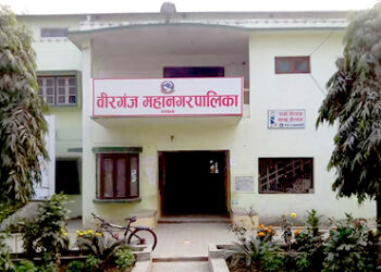 वीरगंज महानगरमा प्रमुख प्रशासकीय अधिकृत बोहराको पदस्थापन