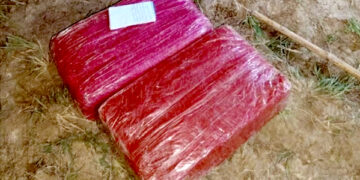 नेपाल भारत सीमा क्षेत्रमा लागुऔषध गाँजासहित एकजना पक्राउ