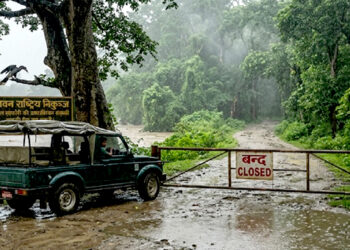 चितवन राष्ट्रिय निकुञ्जमा बुधबारदेखि जङ्गल सफारी सेवा बन्द