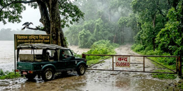 चितवन राष्ट्रिय निकुञ्जमा बुधबारदेखि जङ्गल सफारी सेवा बन्द