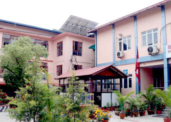 गढीमाई नगरपालिकाका मेयरसहित चारजना विरुद्ध विशेष अदालतमा मुद्दा