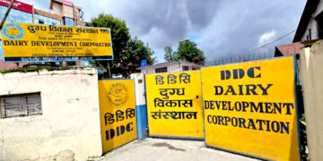 मुख्यमन्त्री कार्यालय परिसरमा डीडीसीको दुग्धजन्य सामग्री बिक्री स्टल खुल्ने