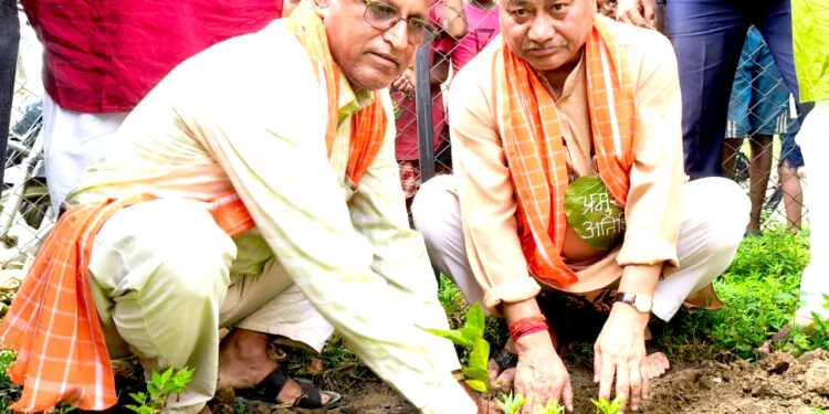 ‘एउटा रुख काट्दा कम्तीमा १० वटा रुख रोपौँ’ : वनमन्त्री चौधरी