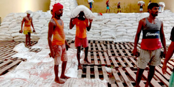 मल वितरणमा सुधारः मधेशका किसानलाई राहत, तर आपूर्ति अझै अपुग, किसानका चुनौती ज्यूँका त्यूँ !