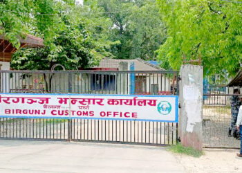 भोटेकोशी बाढीपछि वीरगंज नाकामा आयातको चाप, दैनिक ७० प्रतिशतले बढ्यो राजस्व