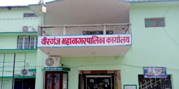वीरगंजमा अनधिकृत होर्डिङ बोर्ड र ब्यानर हटाउन महानगरको अभियान
