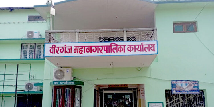 वीरगंजमा अनधिकृत होर्डिङ बोर्ड र ब्यानर हटाउन महानगरको अभियान