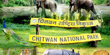 गैँडाको चोरी–शिकारी नियन्त्रणमा चितवन राष्ट्रिय निकुञ्ज क्रियाशील