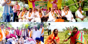जगरनाथपुर गापाको लक्ष्मीपुरमा २० बिघा सार्वजनिक जग्गामा वृक्षरोपण