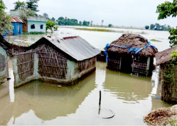 सप्तकोशीको बाढीले सप्तरीका तटीय बस्ती प्रभावित, पाँच सय परिवार प्रभावित
