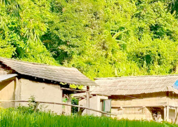 बर्दिवासस्थित बरडाडामा भाइरल ज्वरोको प्रकोप, ७५ प्रतिशत विद्यार्थी विद्यालयबाहिर