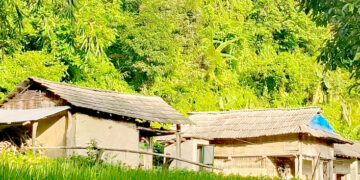 बर्दिवासस्थित बरडाडामा भाइरल ज्वरोको प्रकोप, ७५ प्रतिशत विद्यार्थी विद्यालयबाहिर