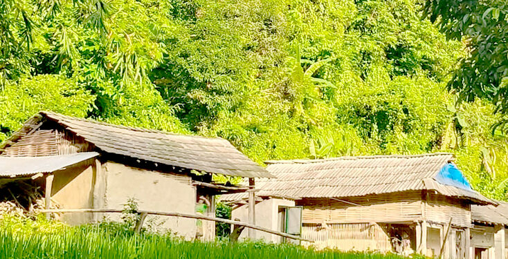 बर्दिवासस्थित बरडाडामा भाइरल ज्वरोको प्रकोप, ७५ प्रतिशत विद्यार्थी विद्यालयबाहिर