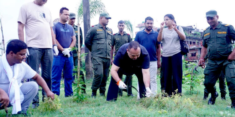 विपी उद्यानभित्रको रेल्वे पार्क निर्माणको काम पुनः अघि बढाउने तयारीमा महानगरपालिका