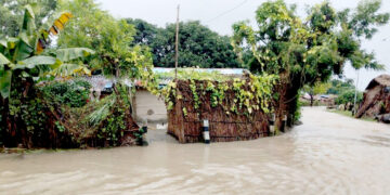 नारायणी नदीको बाढीले सुस्तामा मच्चायो त्रासः एक सय ६५ घर प्रभावित, २९ जनाको सकुशल उद्धार