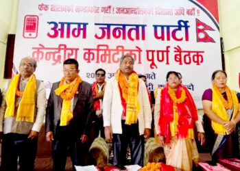 अन्तरिम संविधानसहित अन्तरिम सरकार गठनको पहल गर्ने आजपाको निर्णय