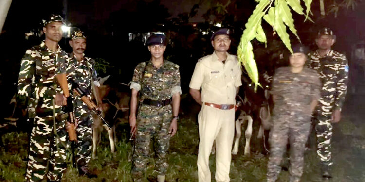 नेपालबाट भारततर्फ लैजाँदै गरेका १० वटा गाईगोरु बरामद